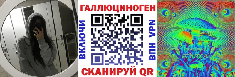 Галлюциногенные грибы Psilocybine cubensis  Бологое 